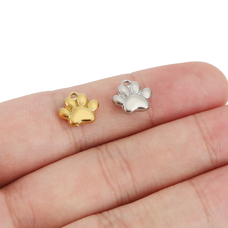 5pcs Stainless Steel Dog Claw  - Drop Earrings reseña y precio