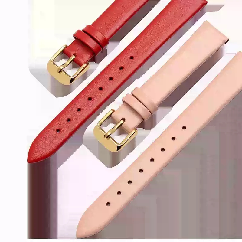 Watch Accessories 12mm-24mm Ge - Daniel Wellington Watches & Jewelry Online Store reseña y precio